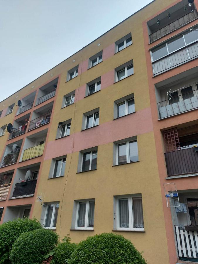 Mieszkanie Do Wynajecia W Centrum *